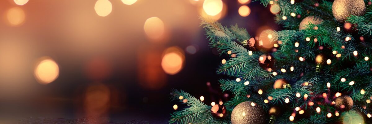 Bartsbeans Kerstbanner